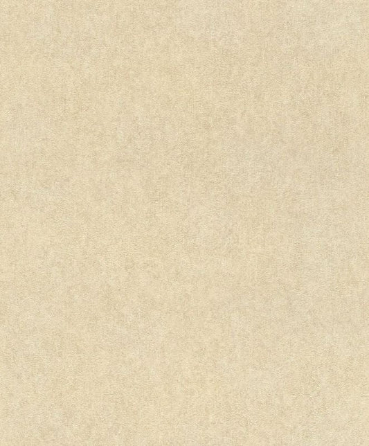 617344 Vliestapete Linares Gips Putz von Rasch