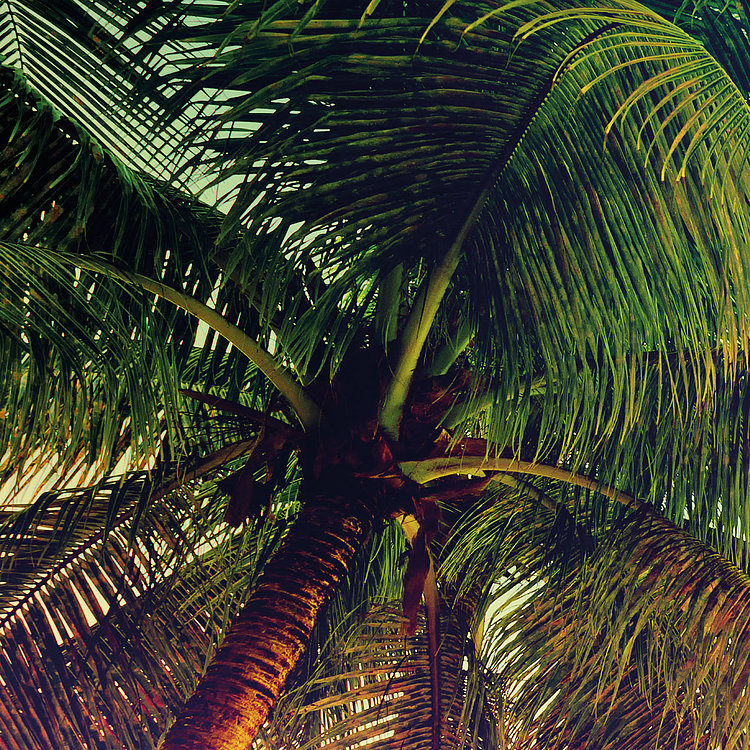 8-967 Miami Fototapete von Komar