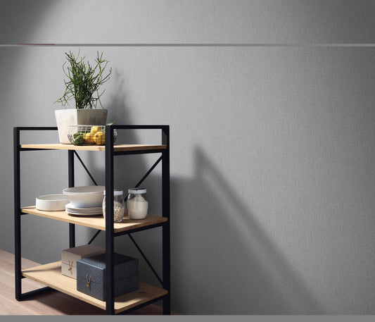 Vliestapete Dieter Bohlen Uni grau 02425-60 Erismann