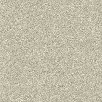 Rasch Selection 606645 Uni Vinyl/Vlies creme beige silber