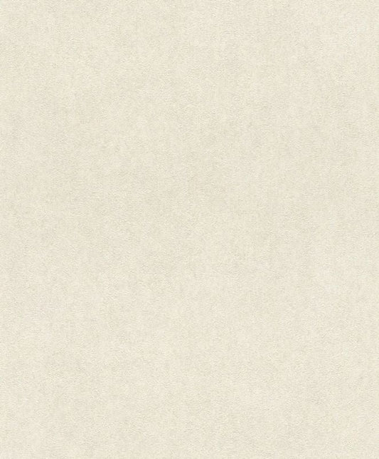 617139 Vliestapete Linares Gips Putz von Rasch