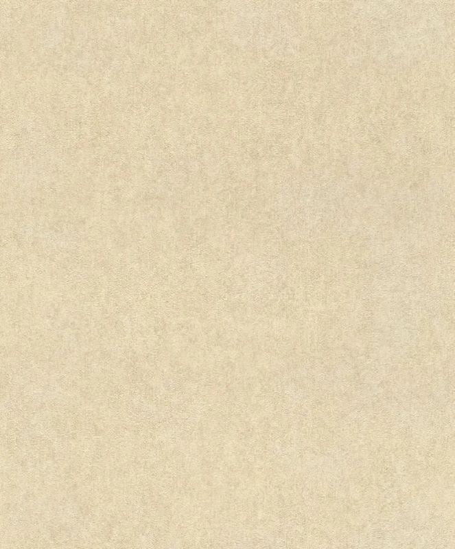 617344 Vliestapete Linares Gips Putz von Rasch