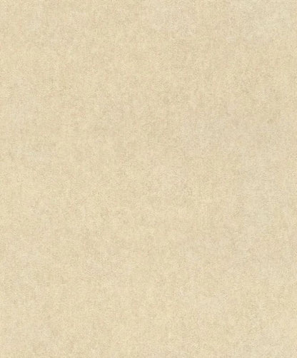 617344 Vliestapete Linares Gips Putz von Rasch