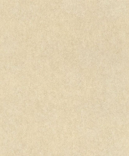 617344 Vliestapete Linares Gips Putz von Rasch