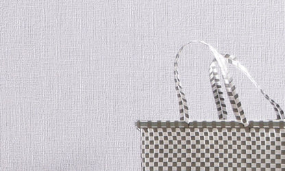 Erfurt Vliesfaser Basic 101