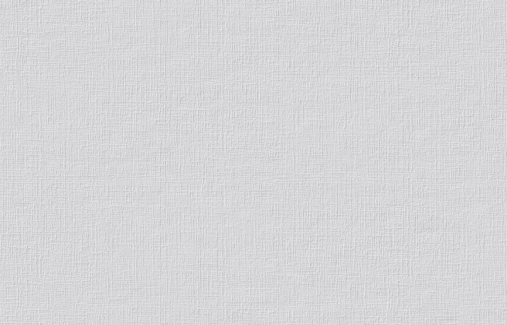 Erfurt Vliesfaser Basic 101