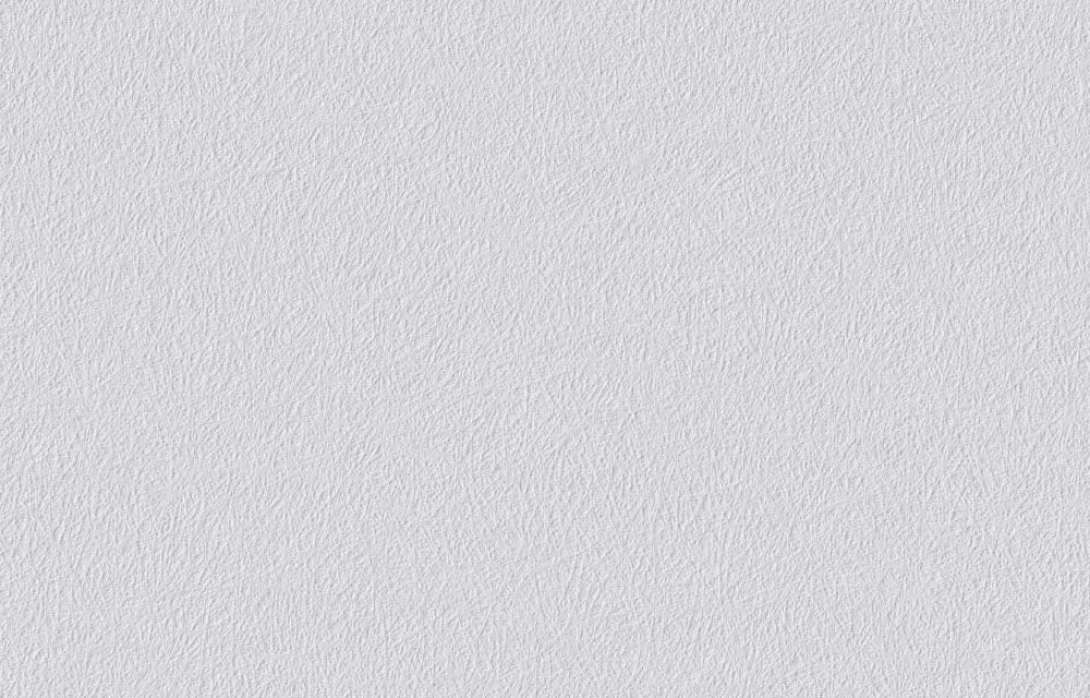 Erfurt Vliesfaser Basic 102