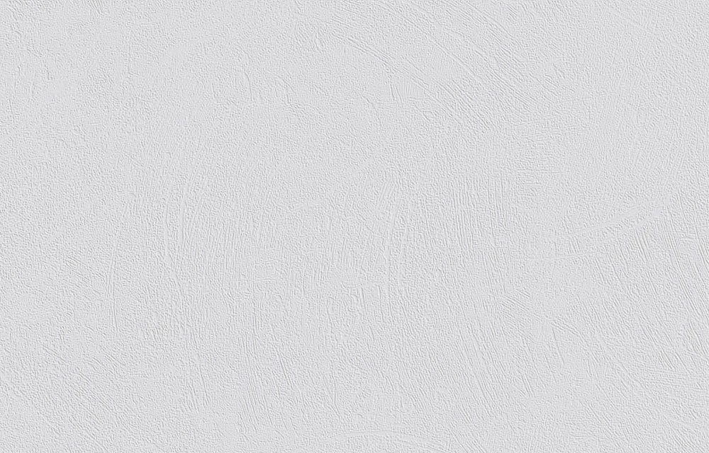 Erfurt Vliesfaser Basic 103