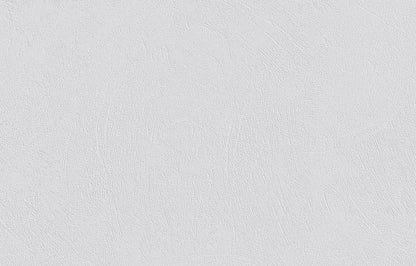 Erfurt Vliesfaser Basic 103