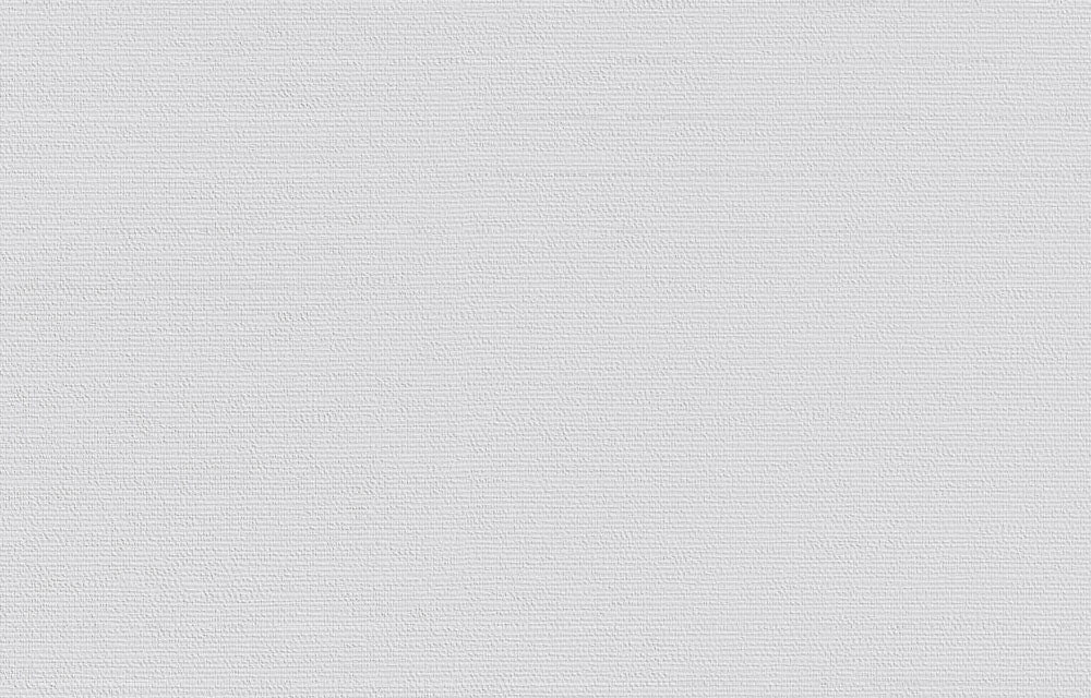 Erfurt Vliesfaser Basic 104