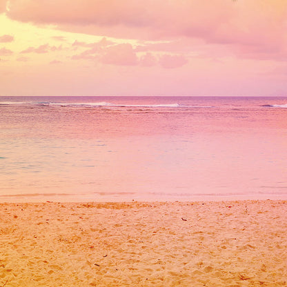 8-967 Miami Fototapete von Komar