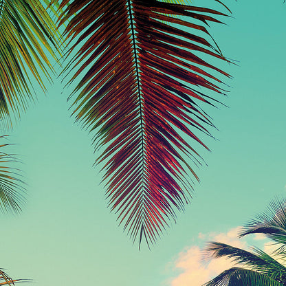 8-967 Miami Fototapete von Komar